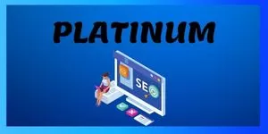 Digital Media Platinum SEO Advertising in India