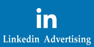 Digital Media LinkedIn Advertising in India