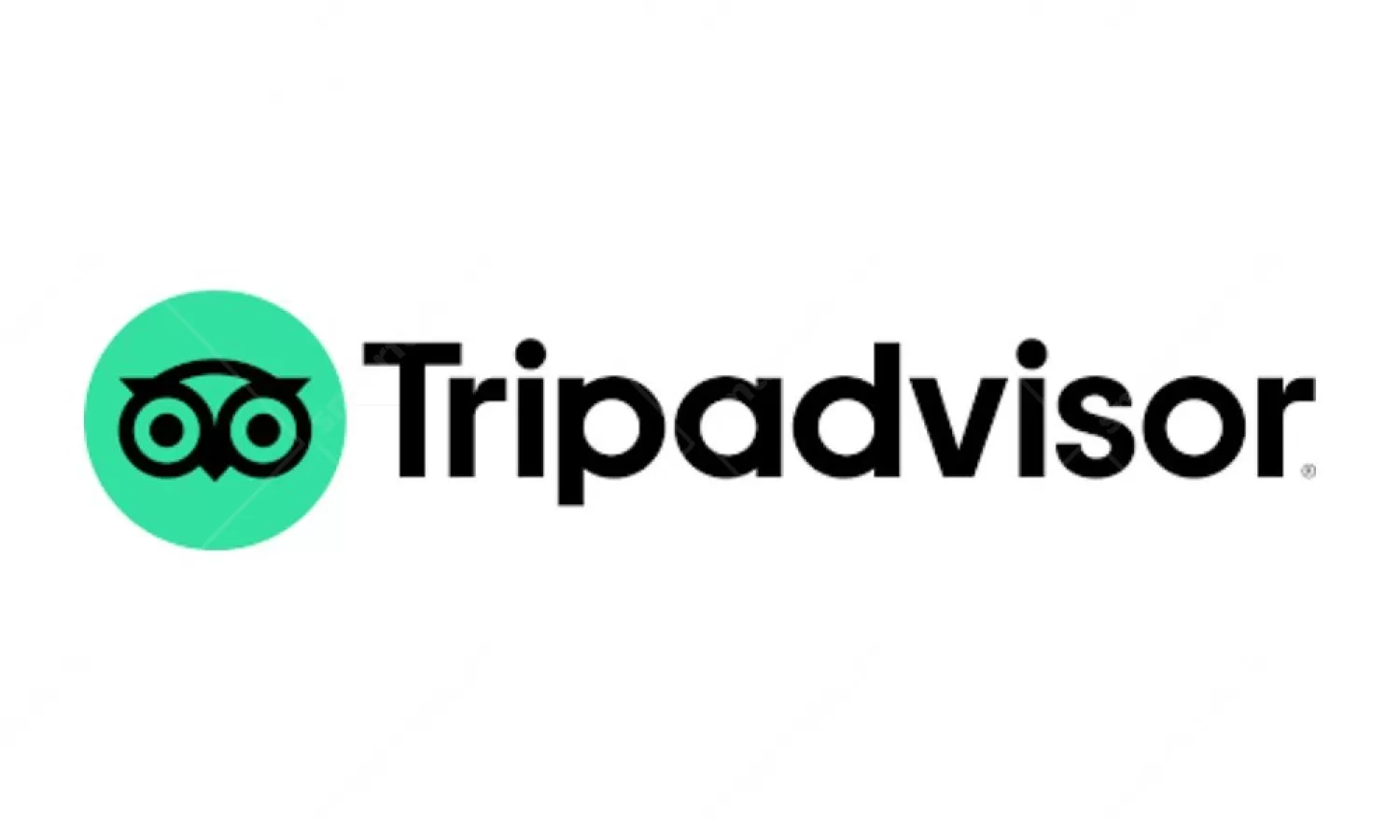 Digital Media Tripadvisor Advertising in India