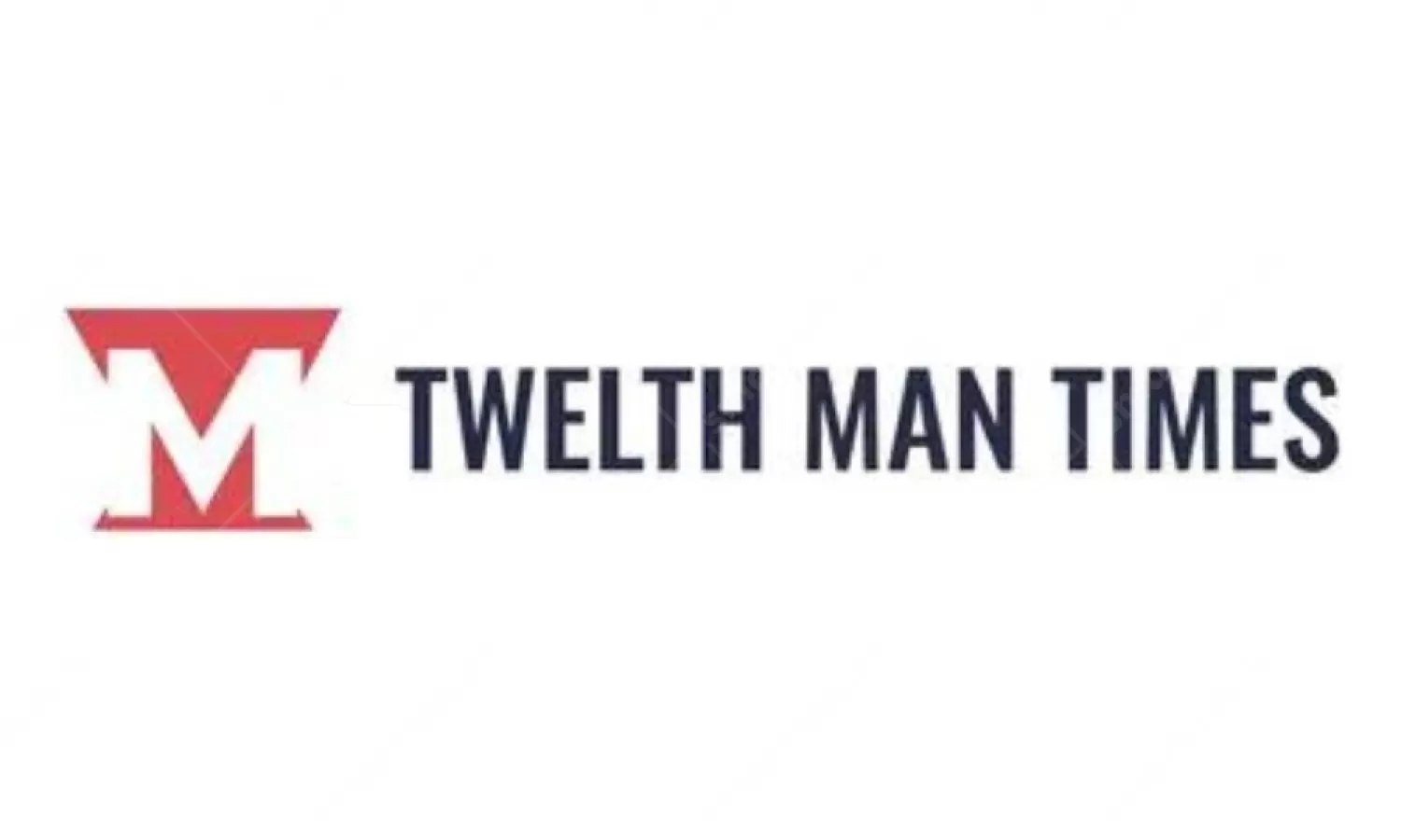 Digital Media Twelfth Man Times Advertising in India