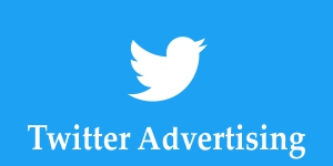 Digital Media Twitter Advertising in India