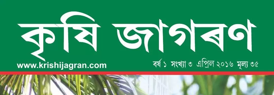 MAC Krishi Jagran-Assam Edition Advertising