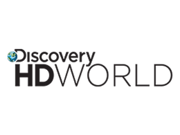 Television Media Discovery HD World Advertising in India