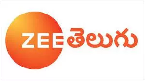 Television Media Zee Telugu Advertising in India