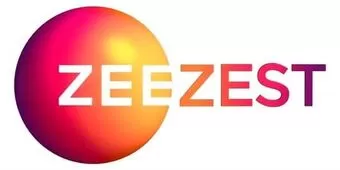 Television Media Zee Zest Advertising in India