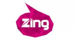 Television Media Zing Advertising in India