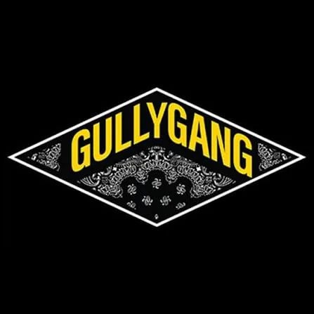 Gully Gang